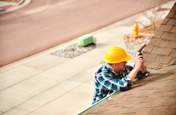 Best Roof Gutter Cleaning  in Arbury Hls, IL