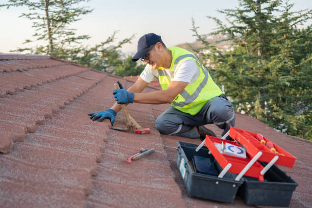 Best Metal Roofing Contractor  in Arbury Hls, IL